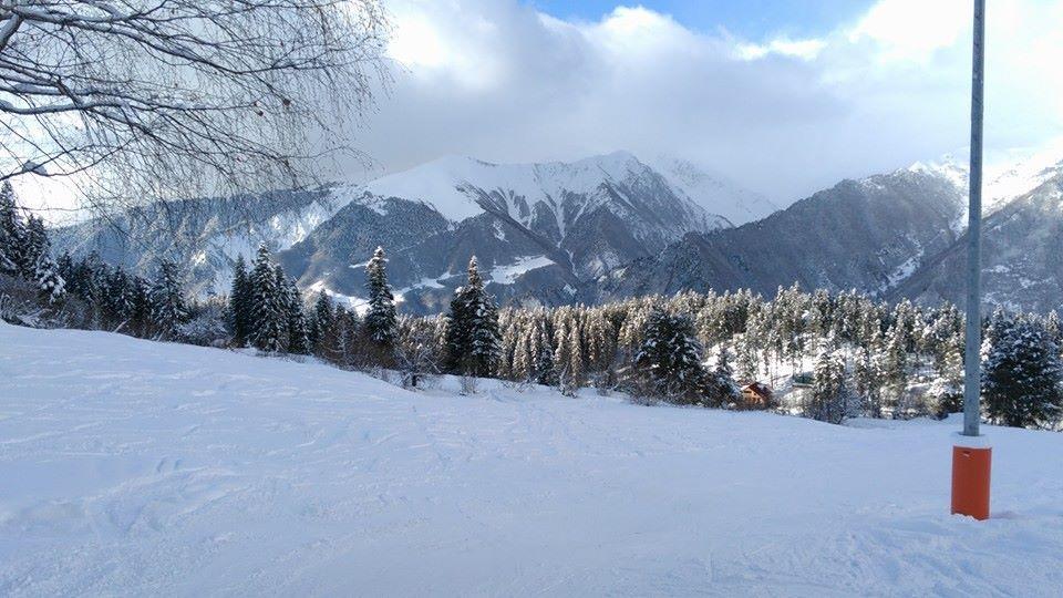Dodo Japaridze Guesthouse Местія Екстер'єр фото